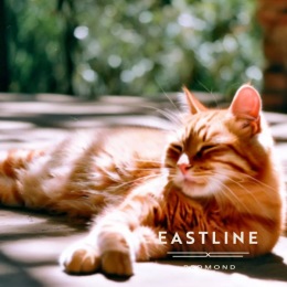 We are a pet-friendly community a sun bathing cat