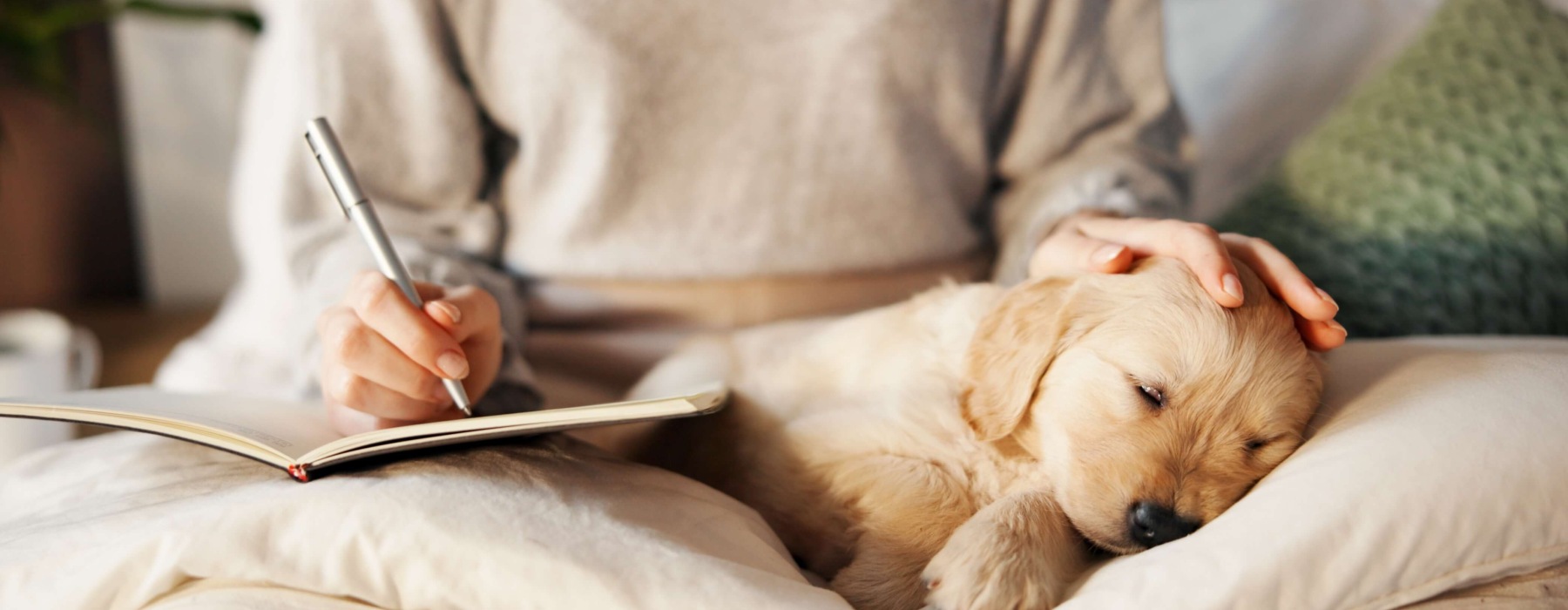 Person writing in a notebook while petting a sleeping golden retriever puppy on a bed.